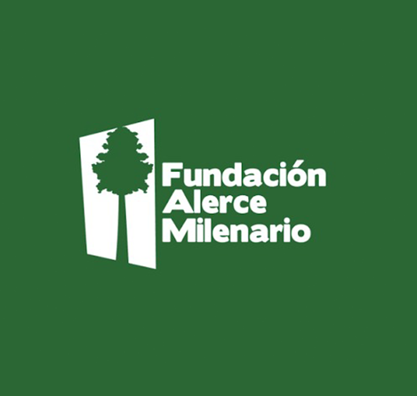 Fundación Alerce Milenario