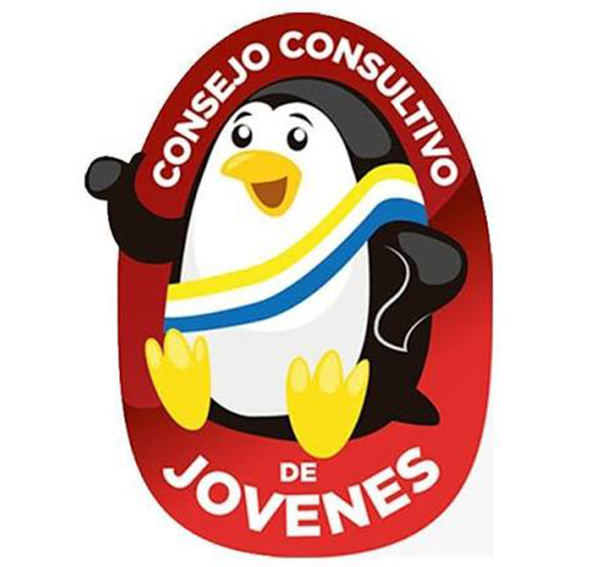 Consejo Consultivo de Jóvenes CCJ Panguipulli