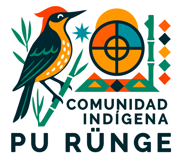 Comunidad Indígena Pu Runge